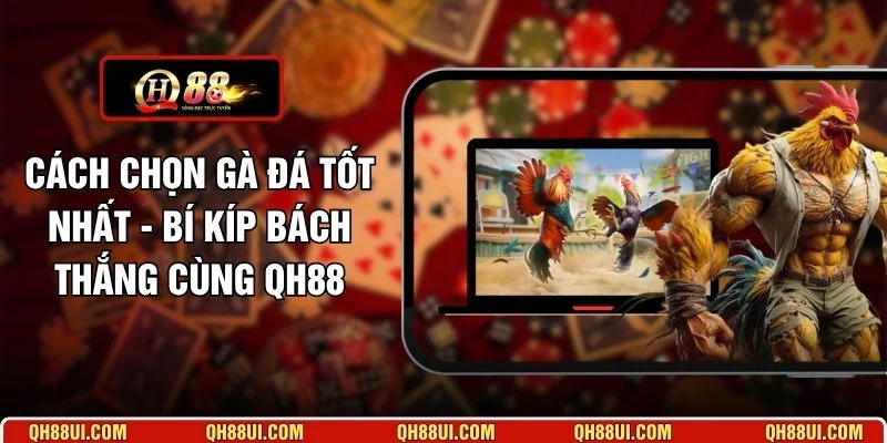 Cách Chọn Gà Đá Tốt Nhất
