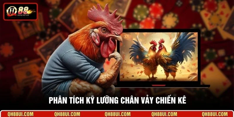 Phân tích kỹ lưỡng chân vảy chiến kê